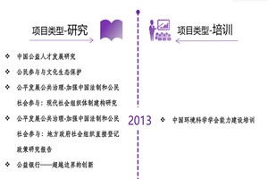 大几把干骚逼9非评估类项目发展历程